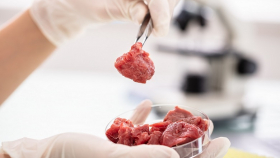 В ЮАР начали производить мясо в лаборатории